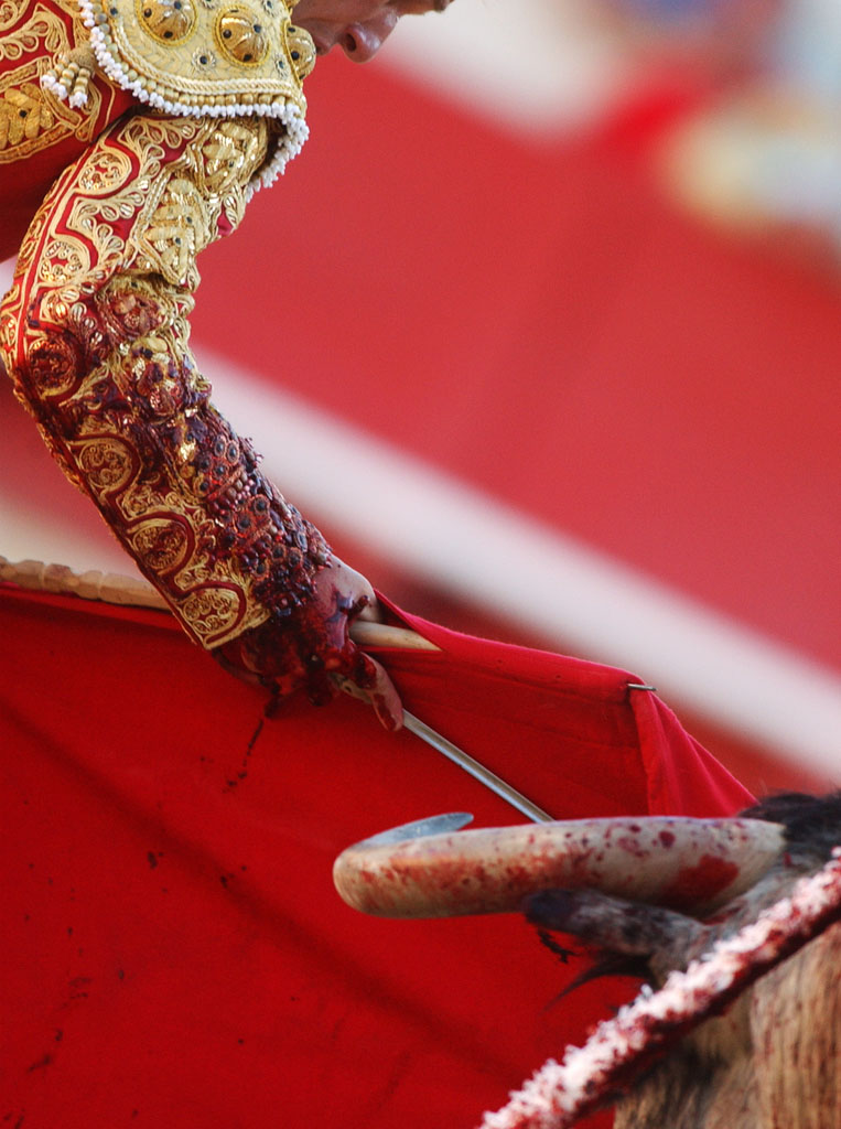 00/00/2007.Bloody details of Bullfighting.